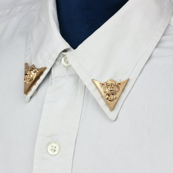 Triangle in Lion