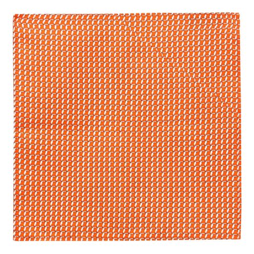 Dolphin in Orange