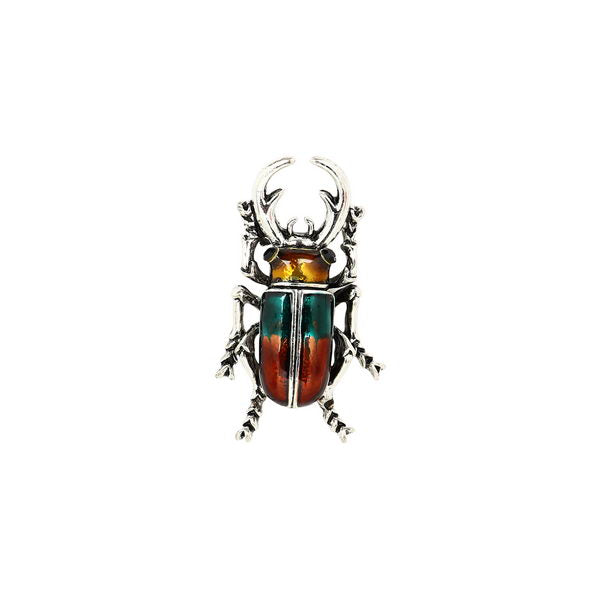 Beetle