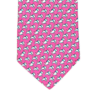 Canine in Pink